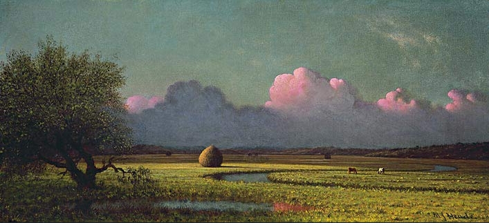 Martin Johnson Heade